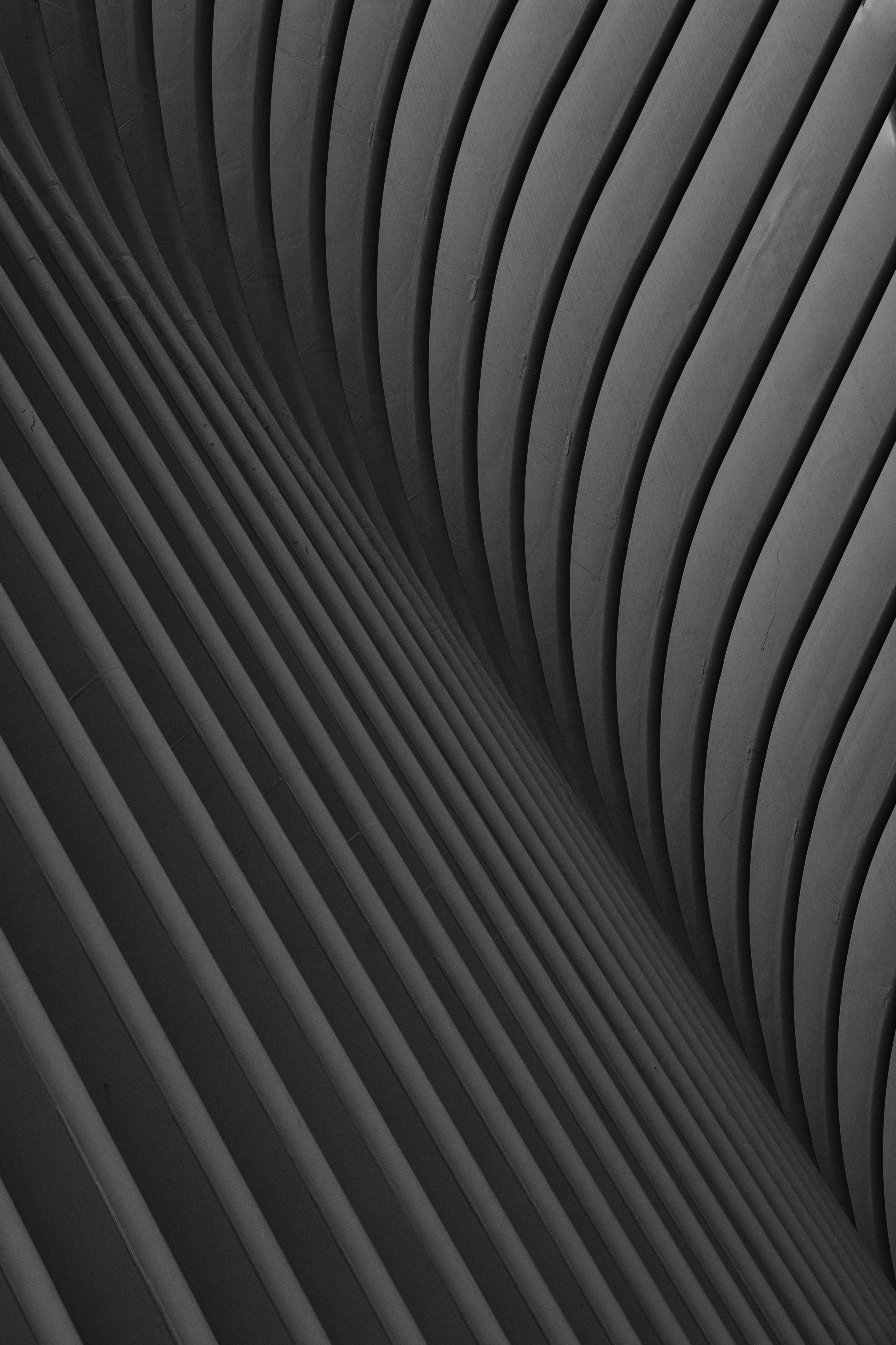 Trama - Image 11