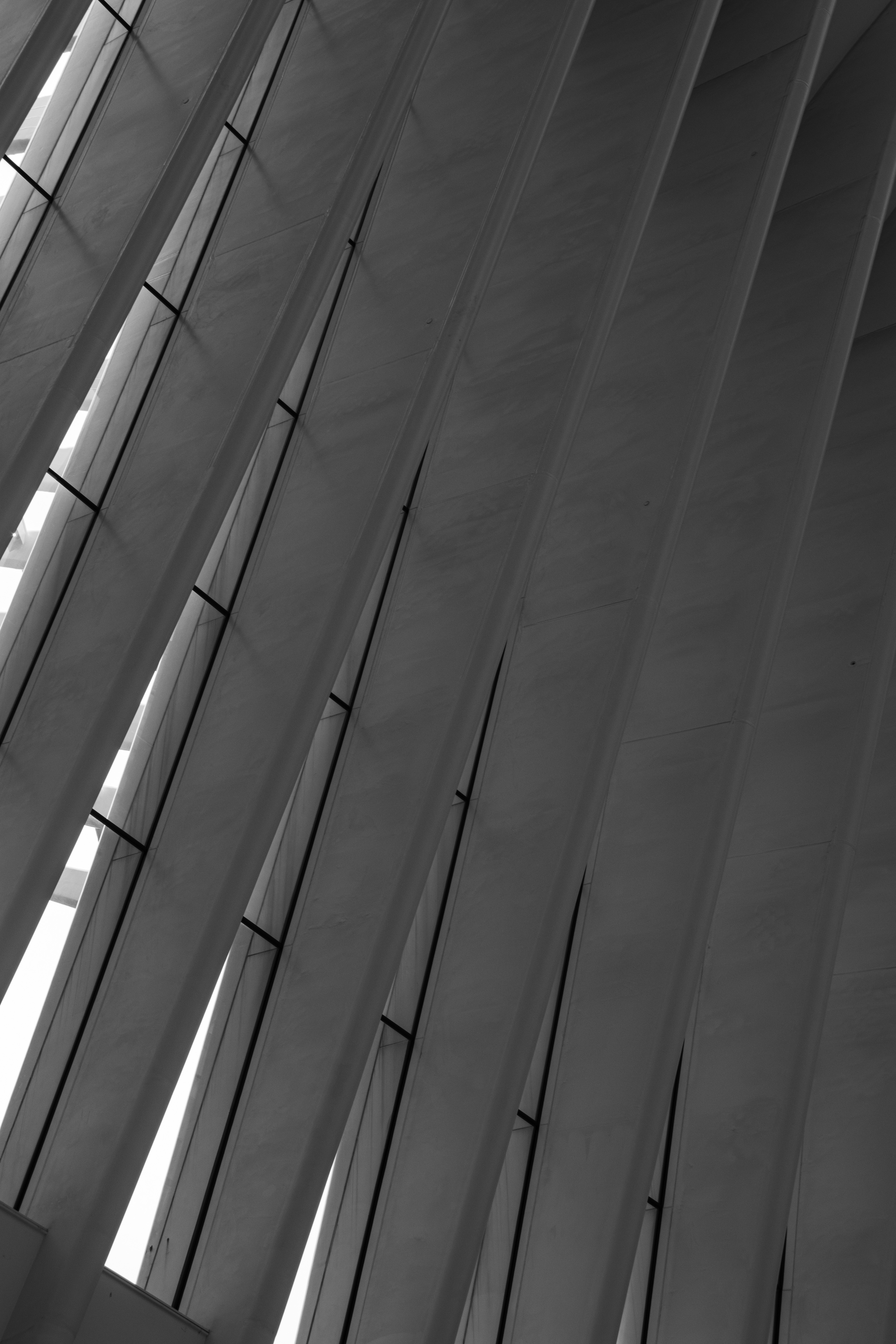 Trama - Image 3