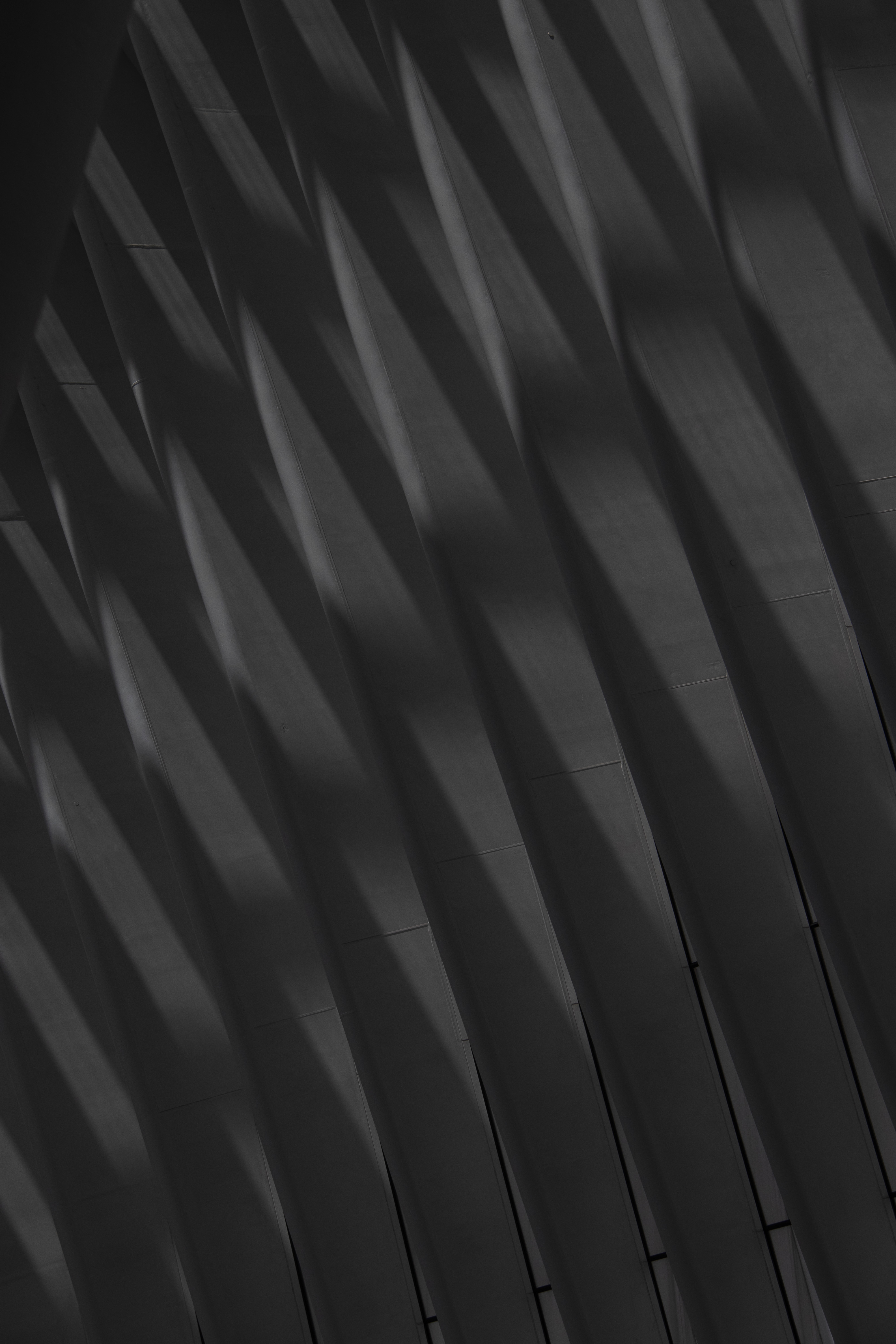Trama - Image 6