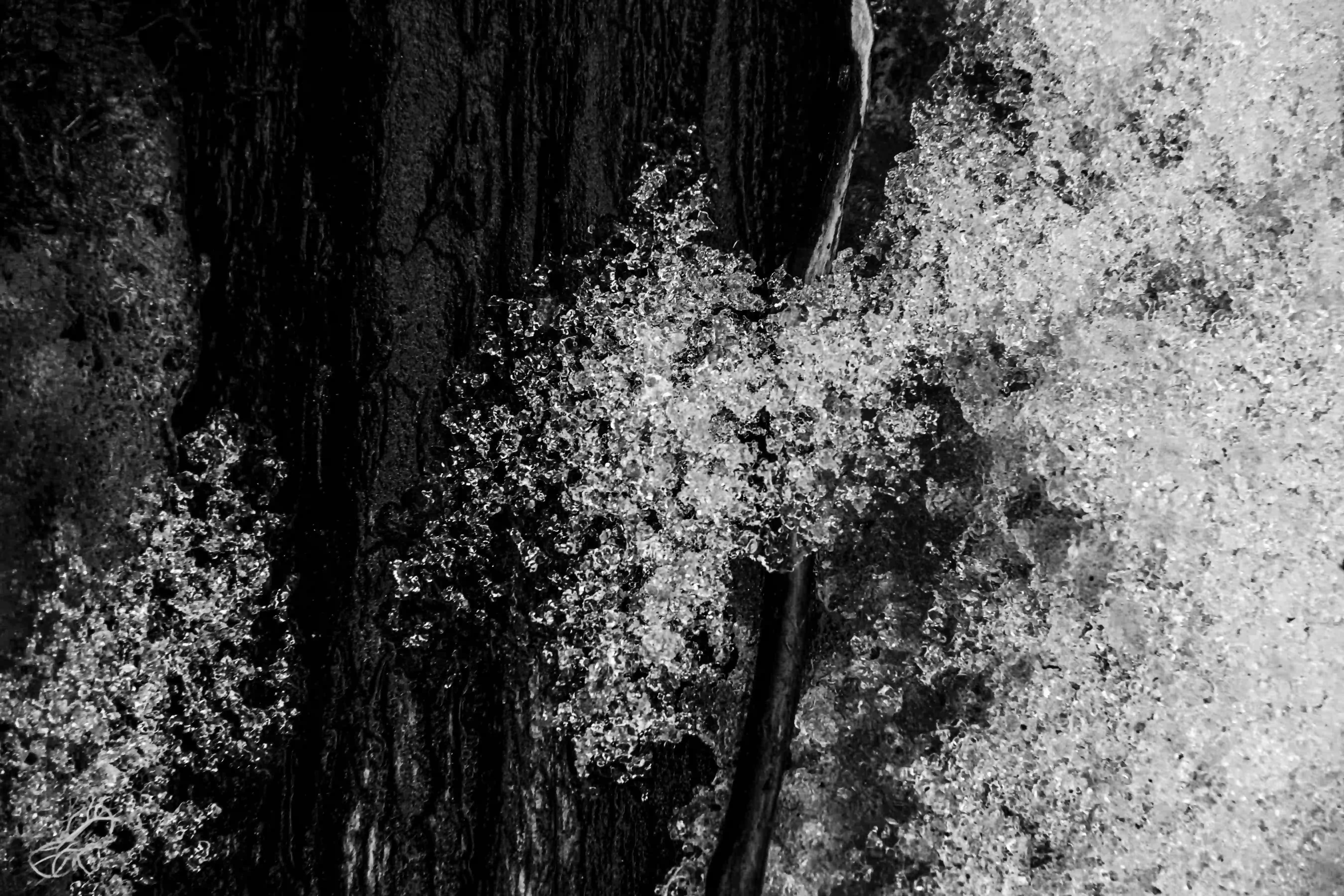 Austral - Image 13
