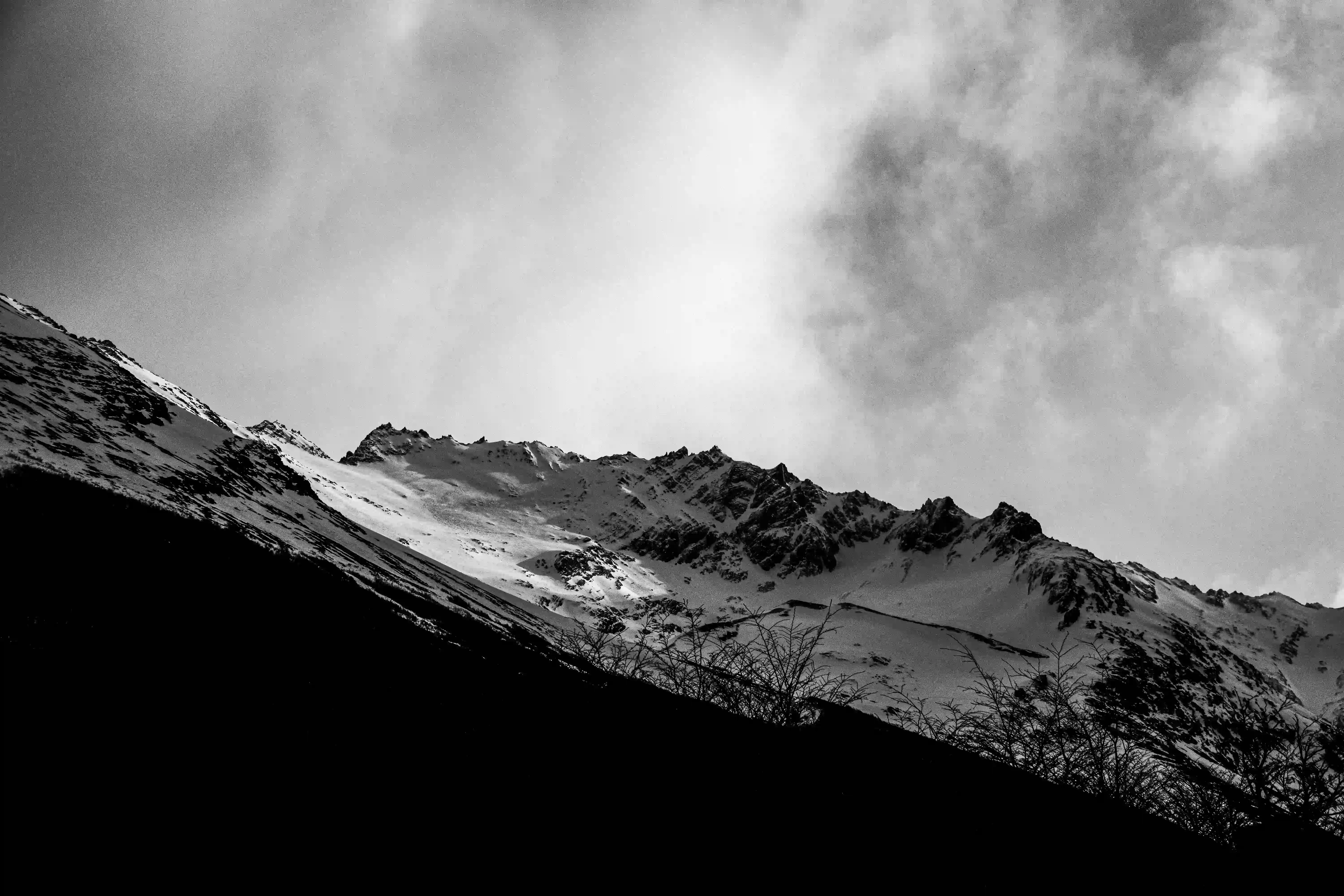Austral - Image 4