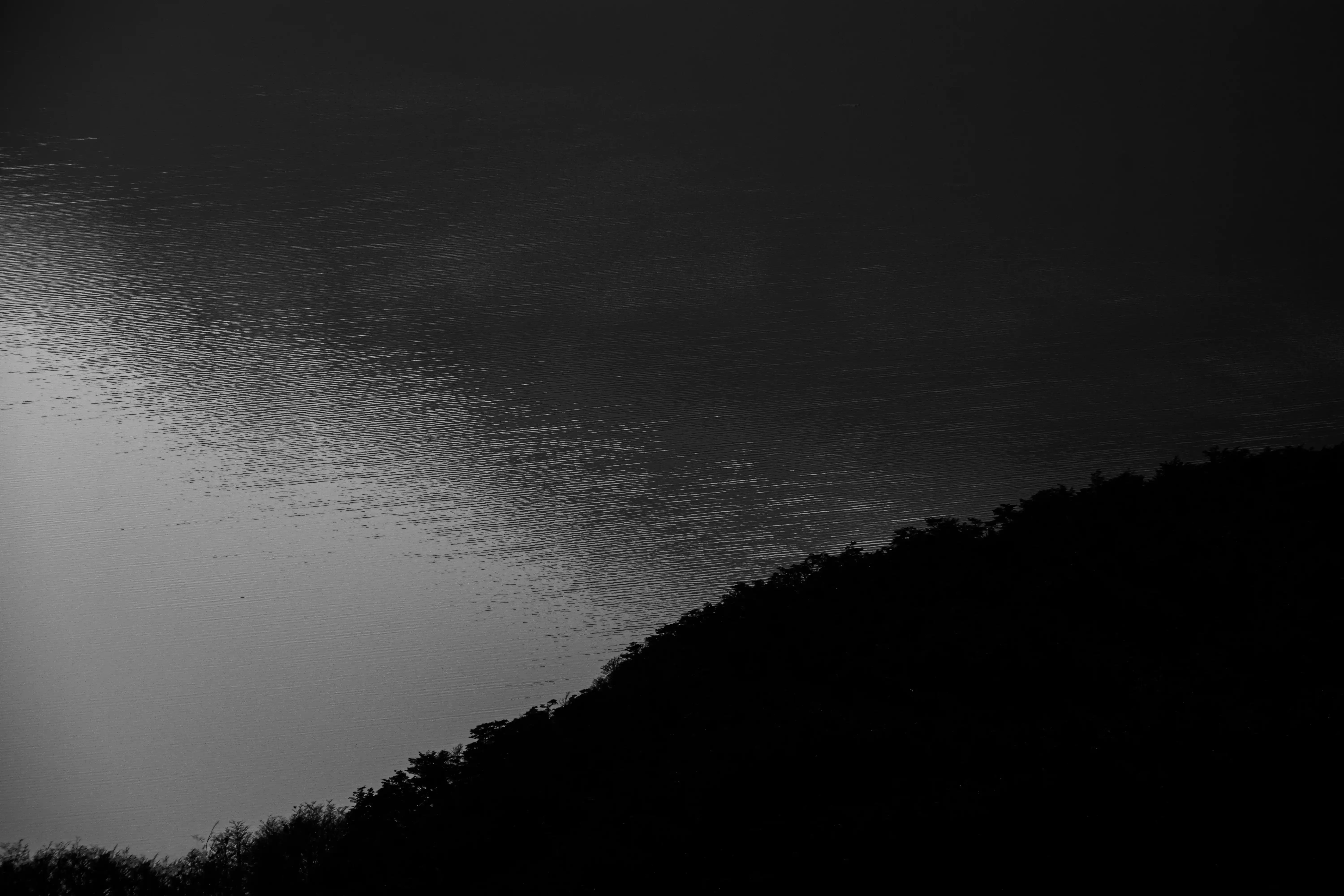 Austral - Image 6