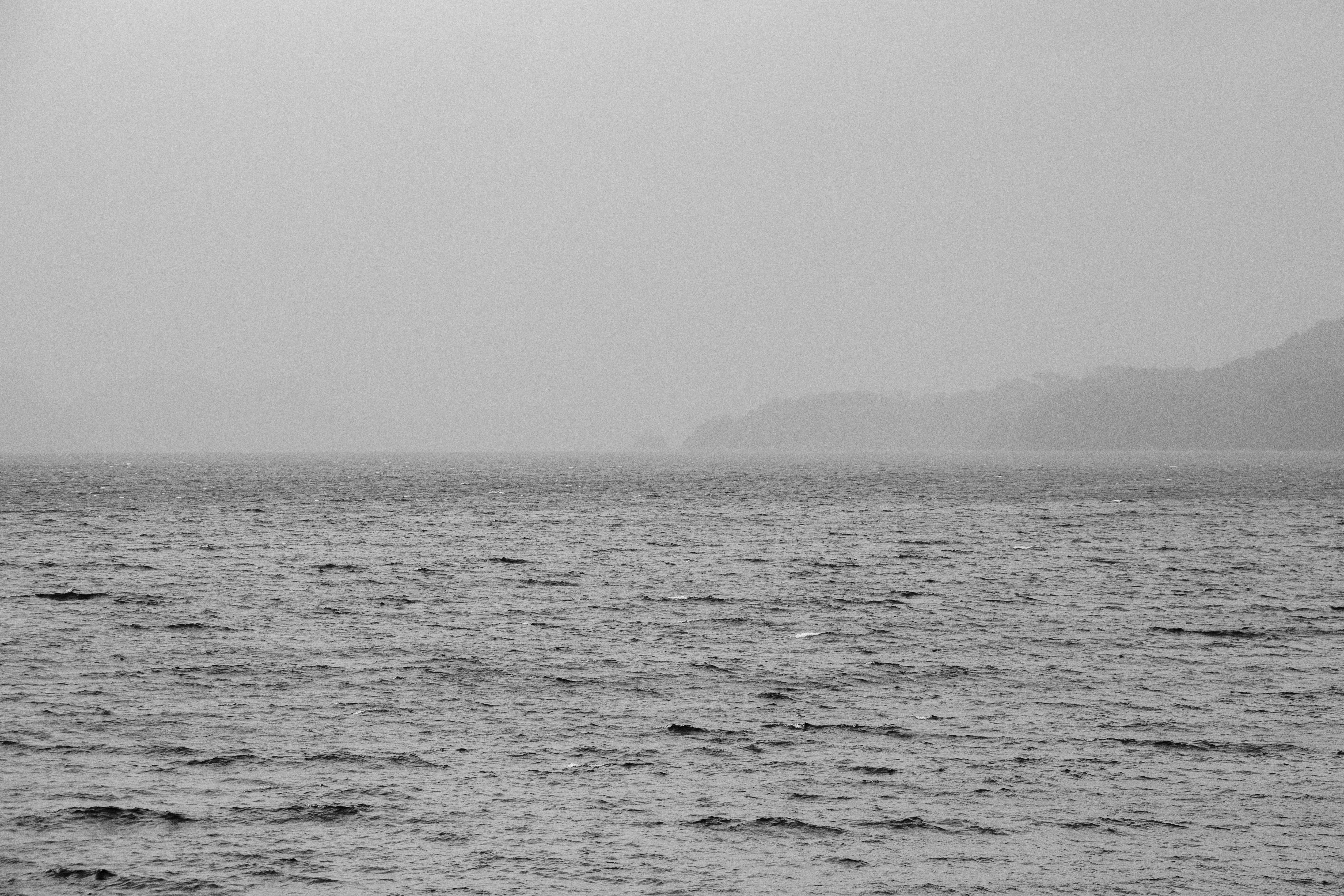 Horizonte - Image 4
