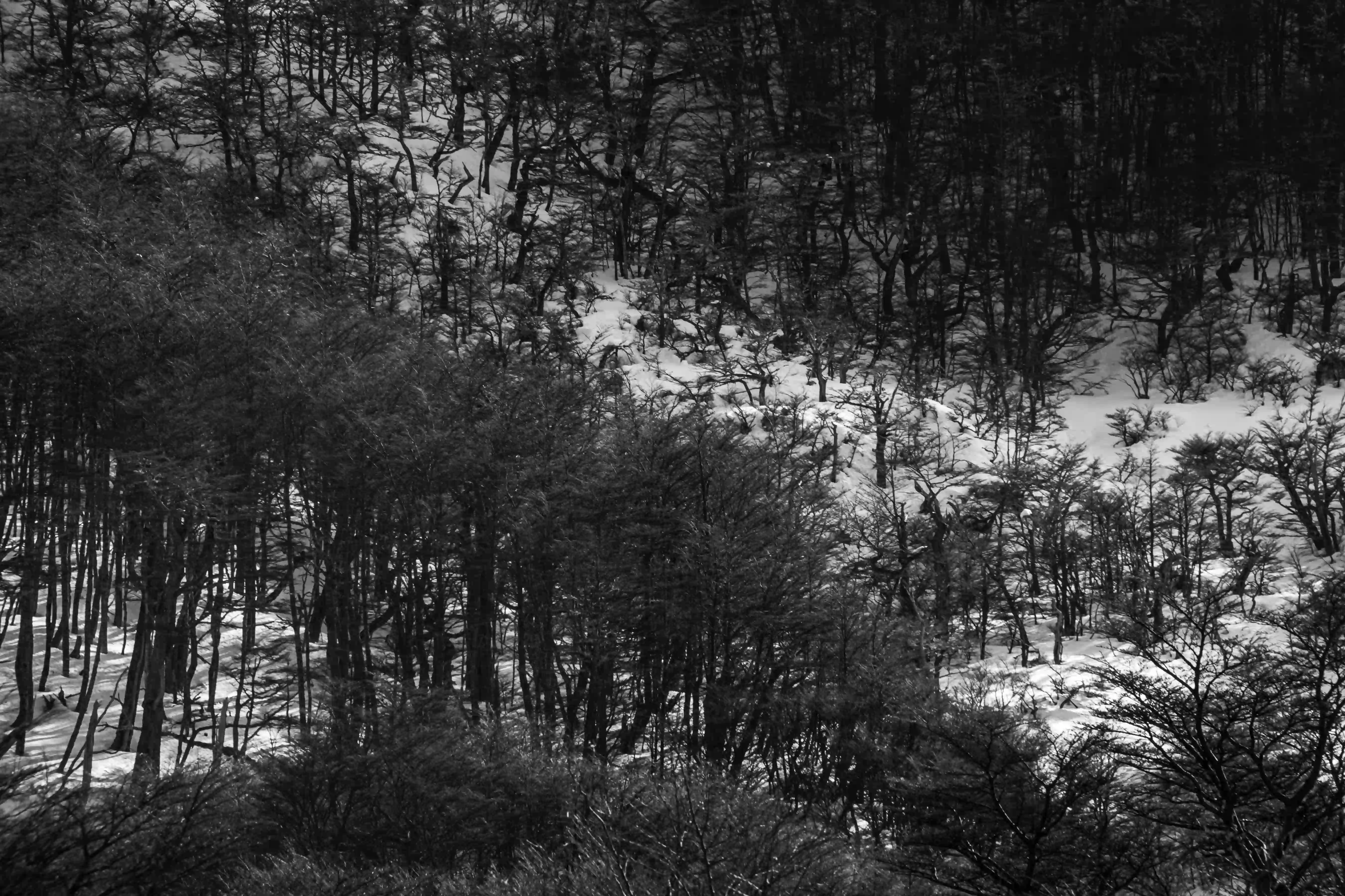 Invierno - Image 8