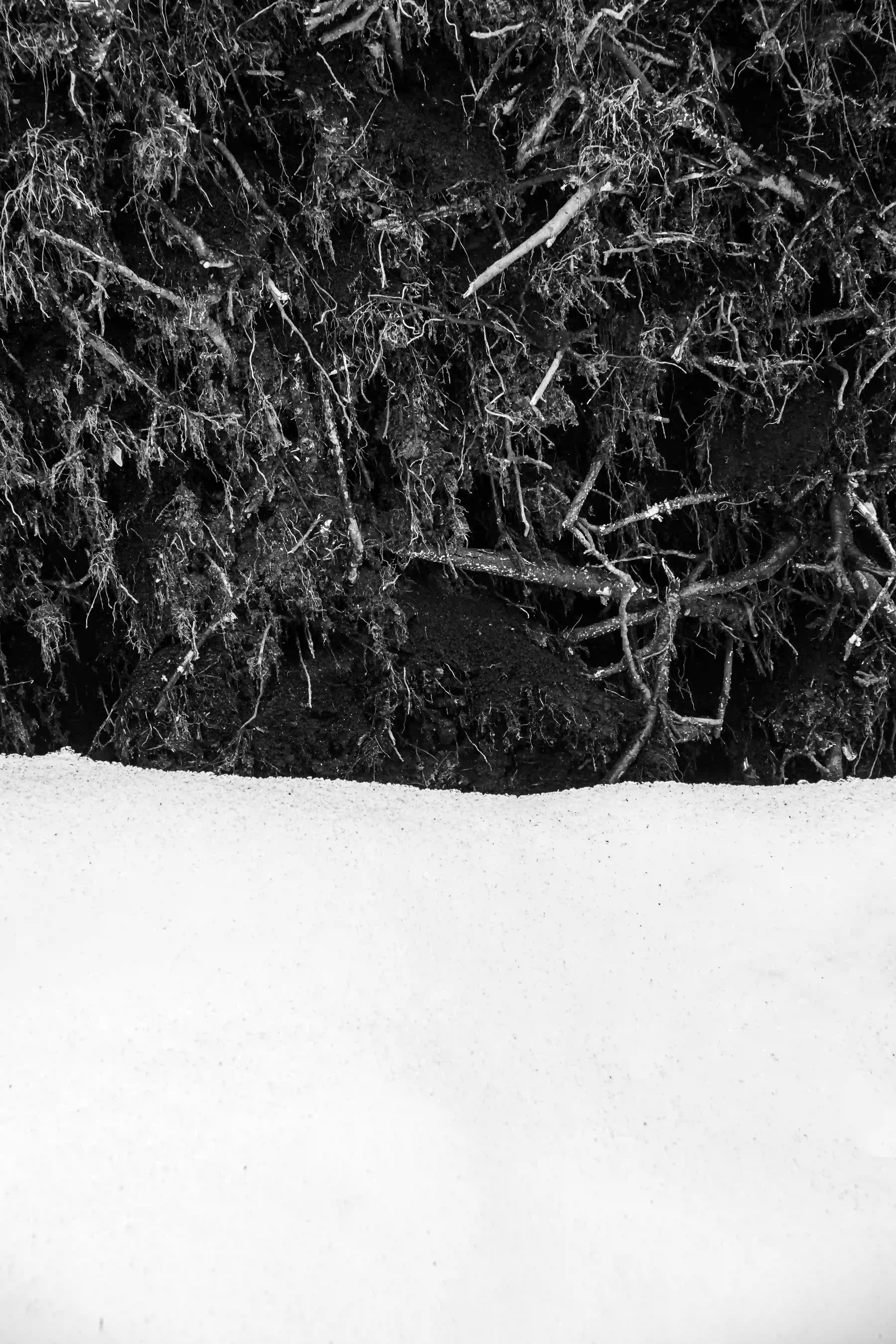 Invierno - Image