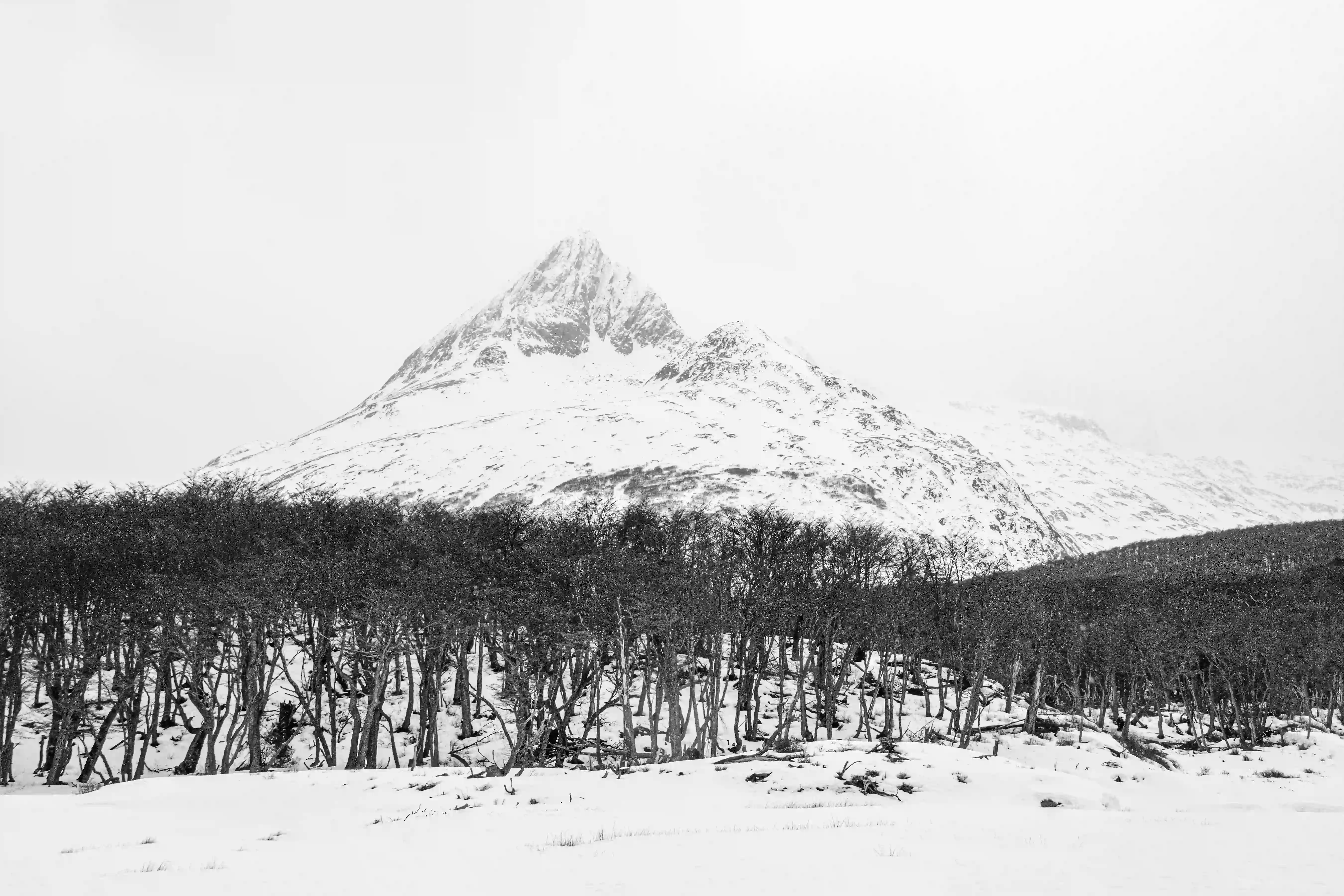 Invierno - Image 12