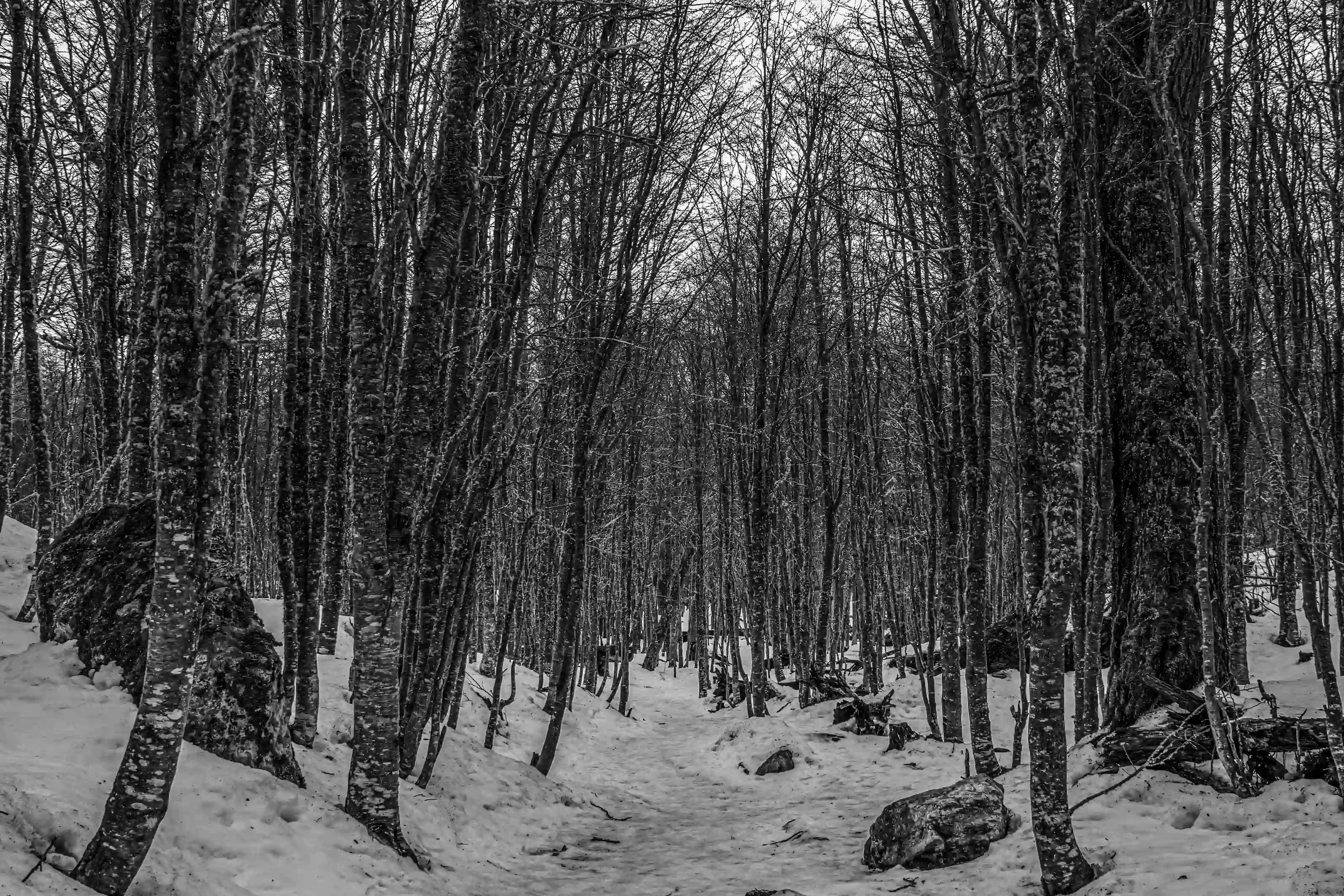Invierno - Image 2