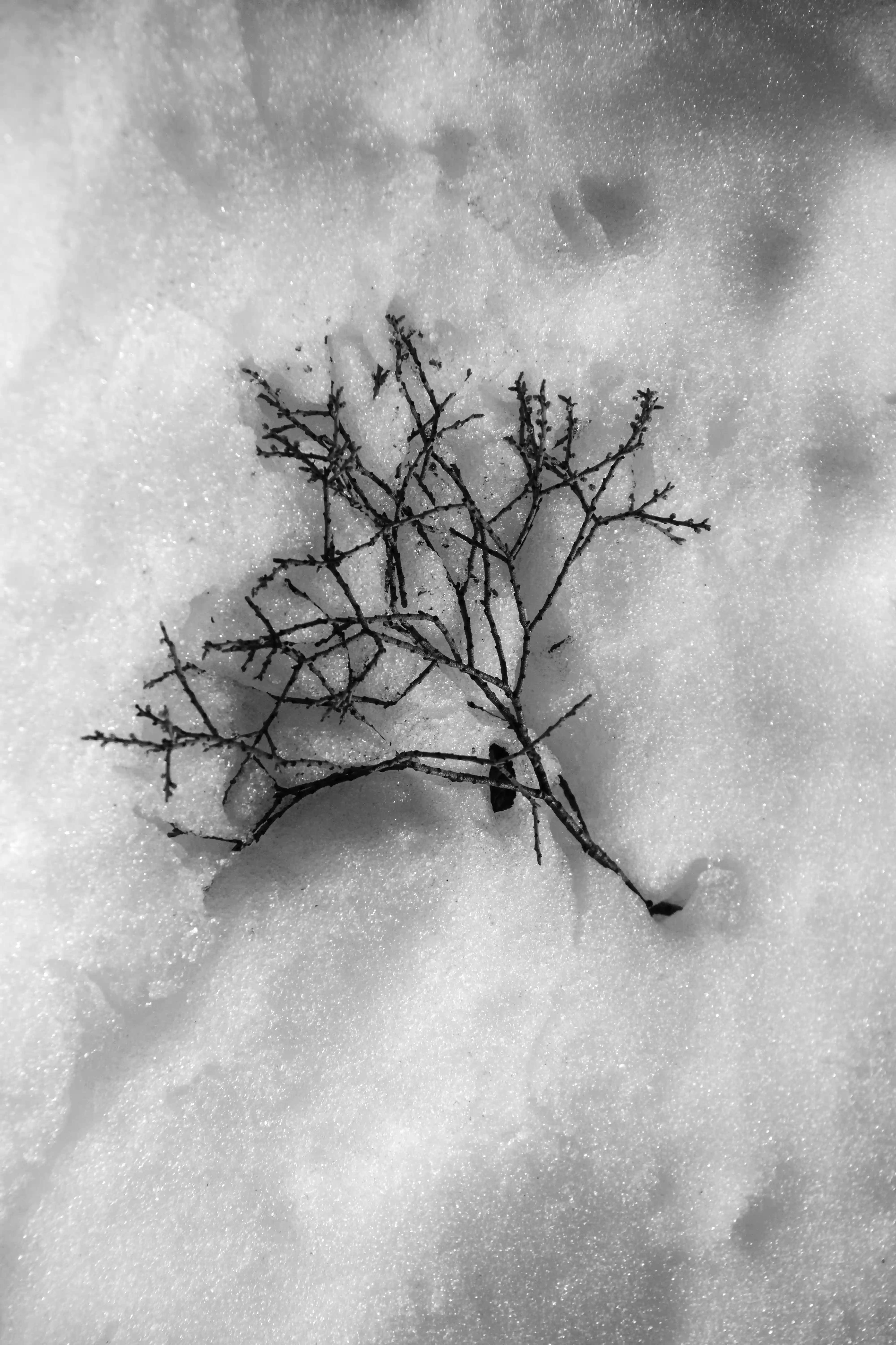 Invierno - Image