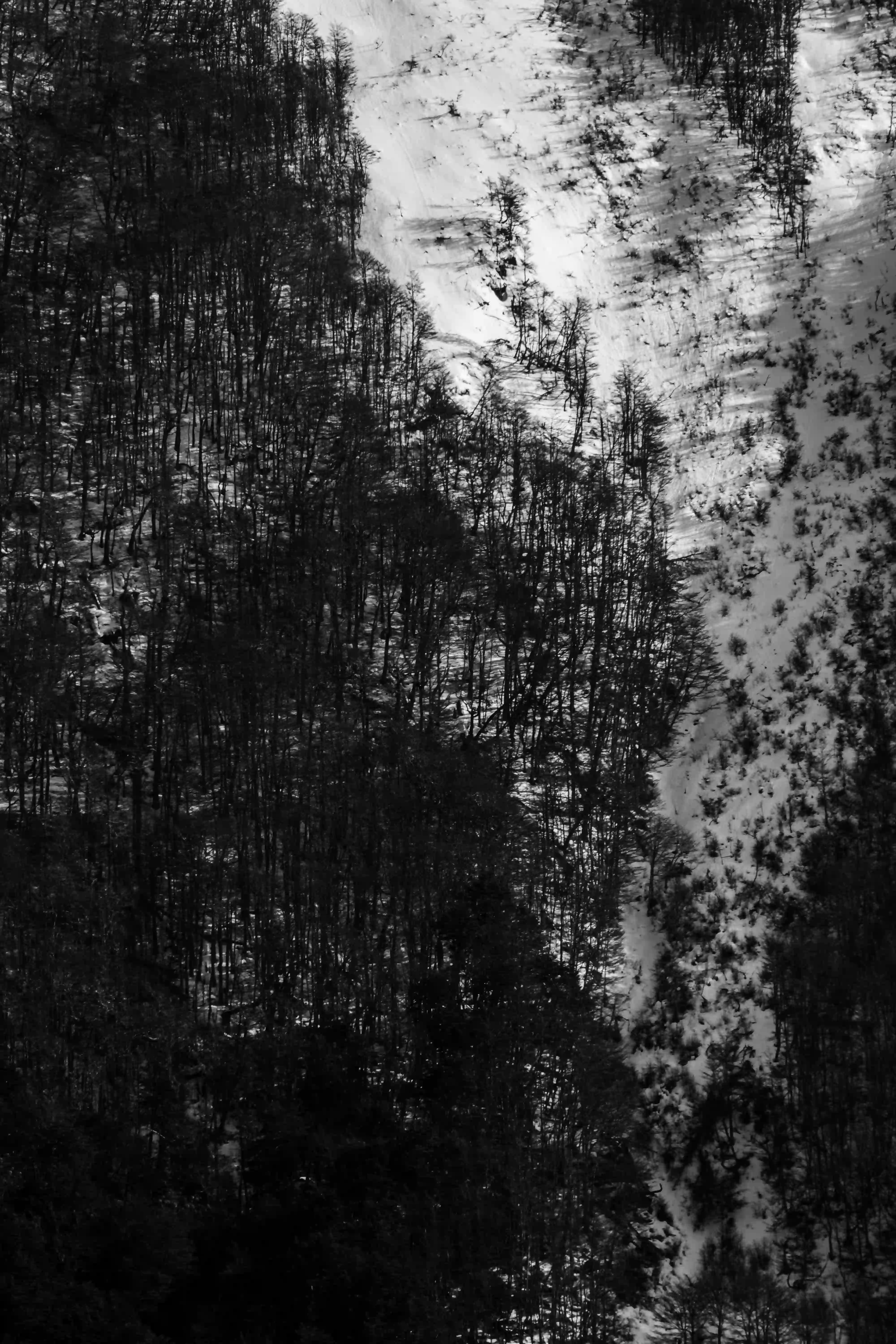 Invierno - Image