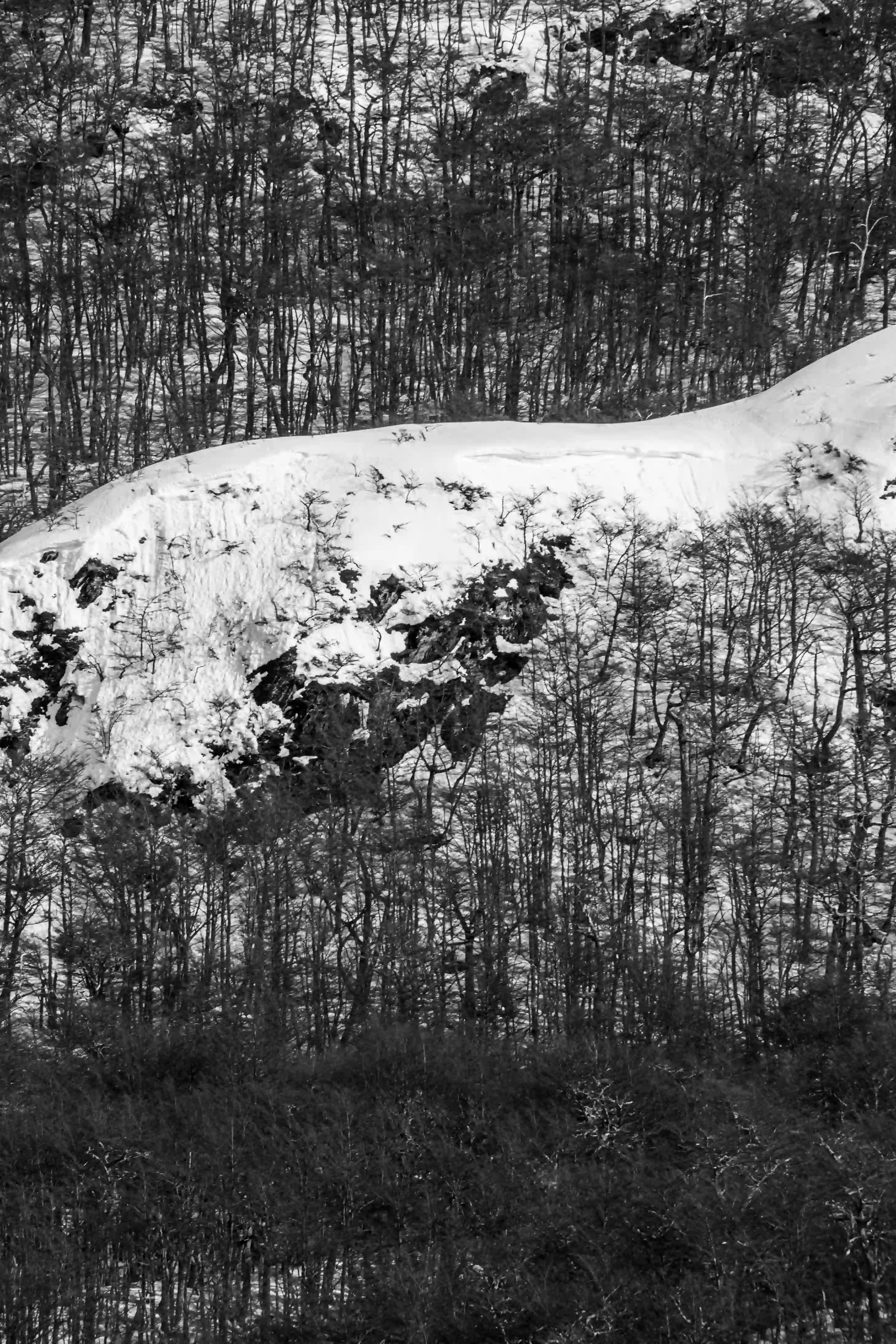Invierno - Image