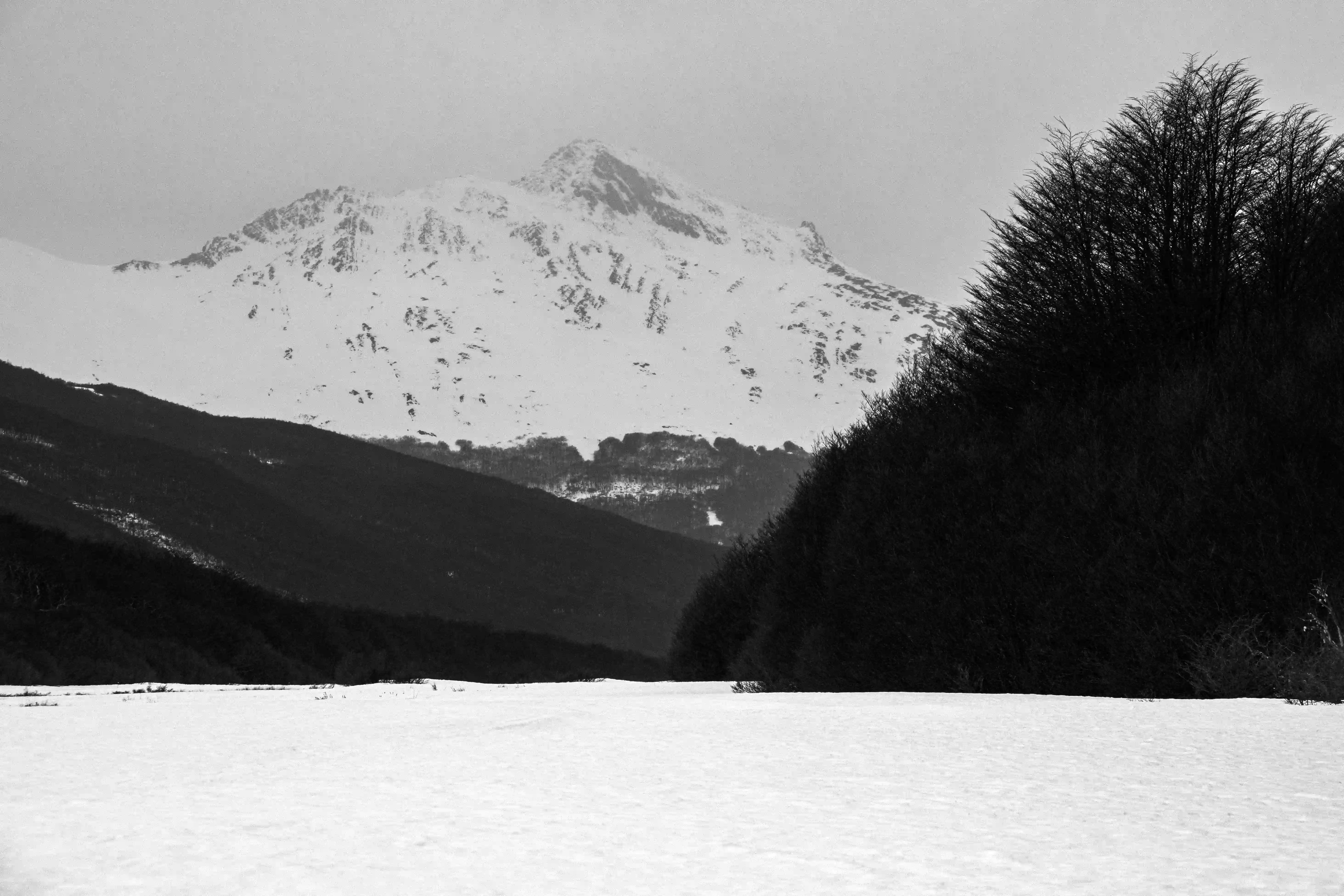 Invierno - Image 6