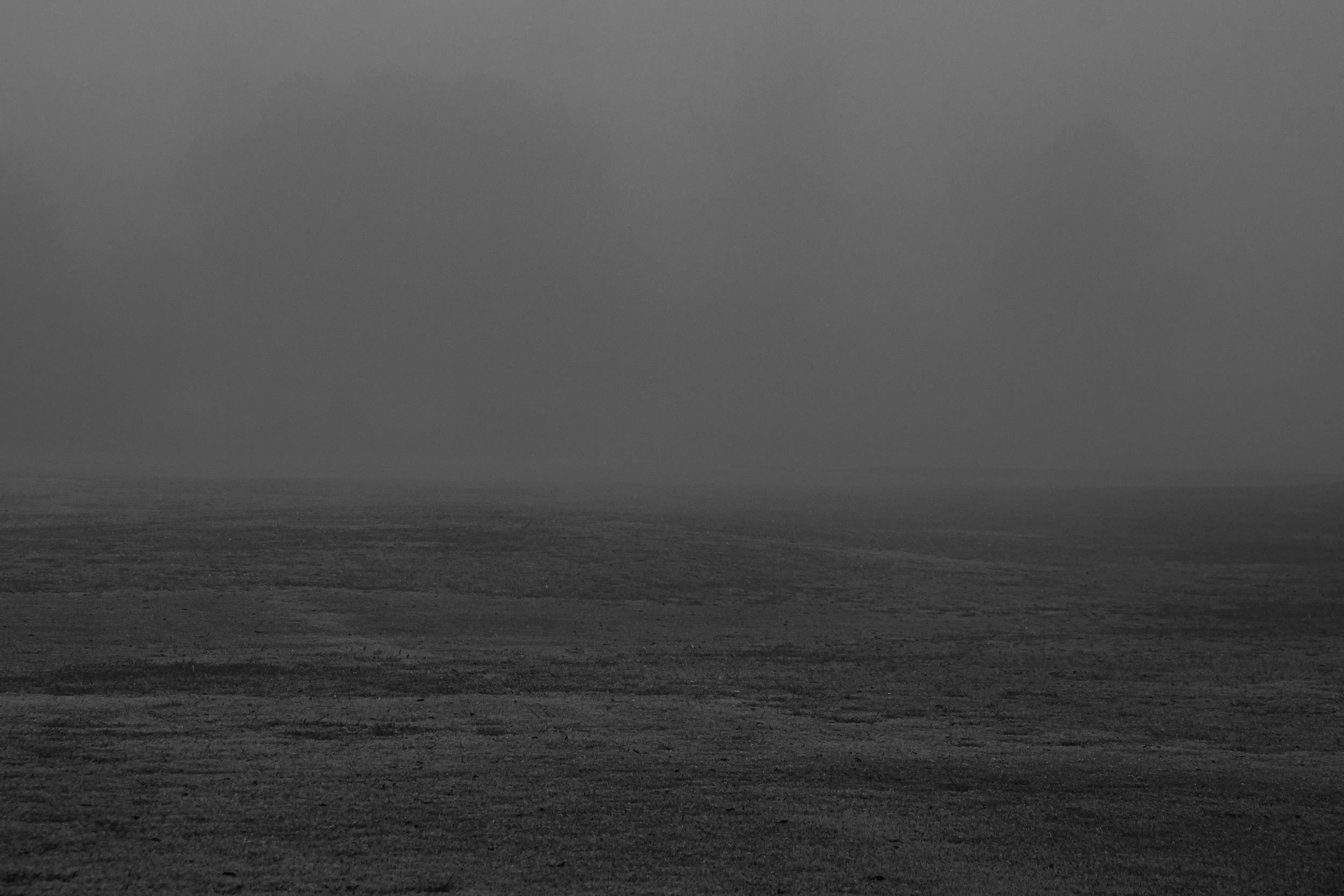 Niebla - Image 11