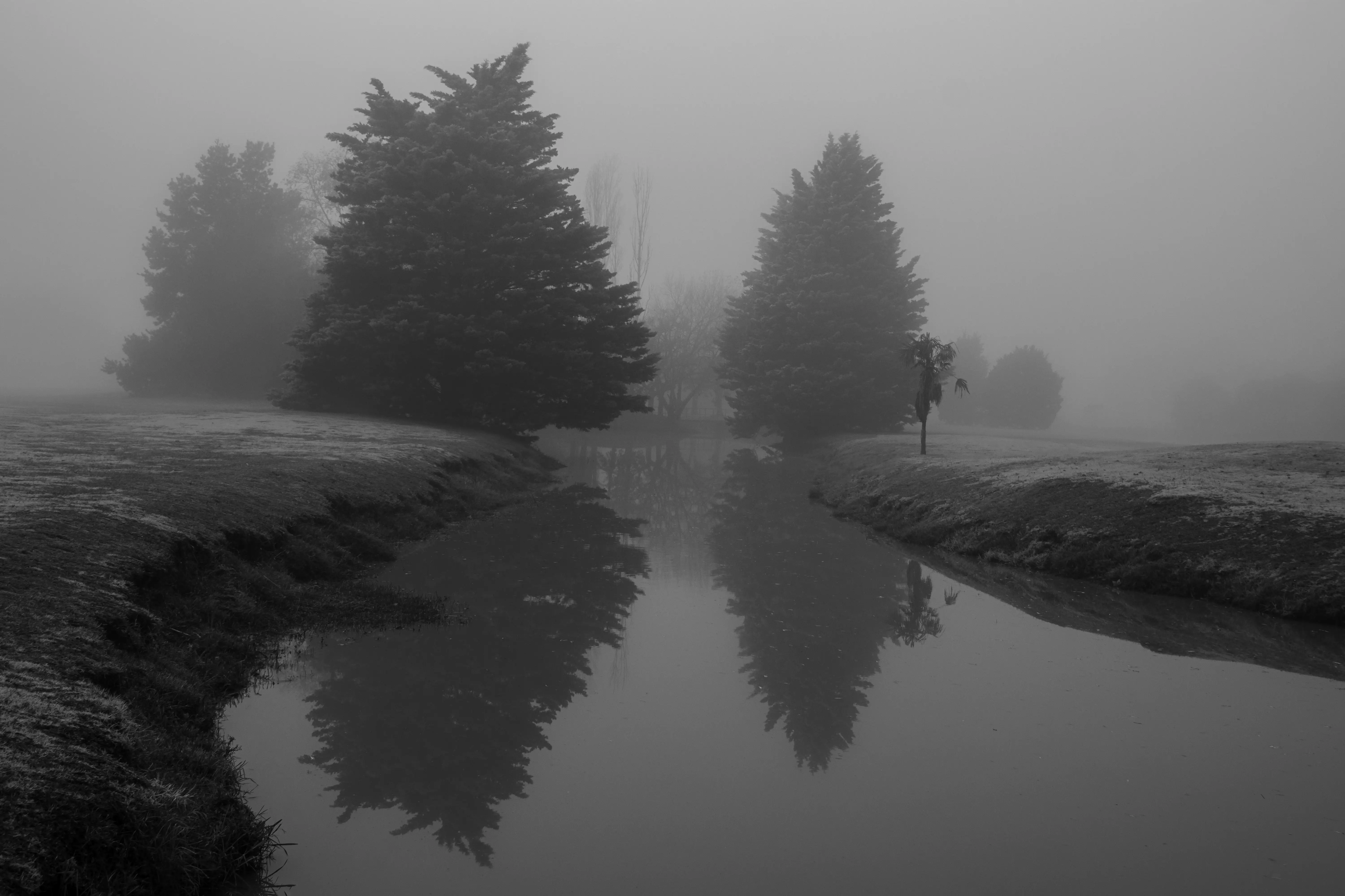 Niebla - Image 13