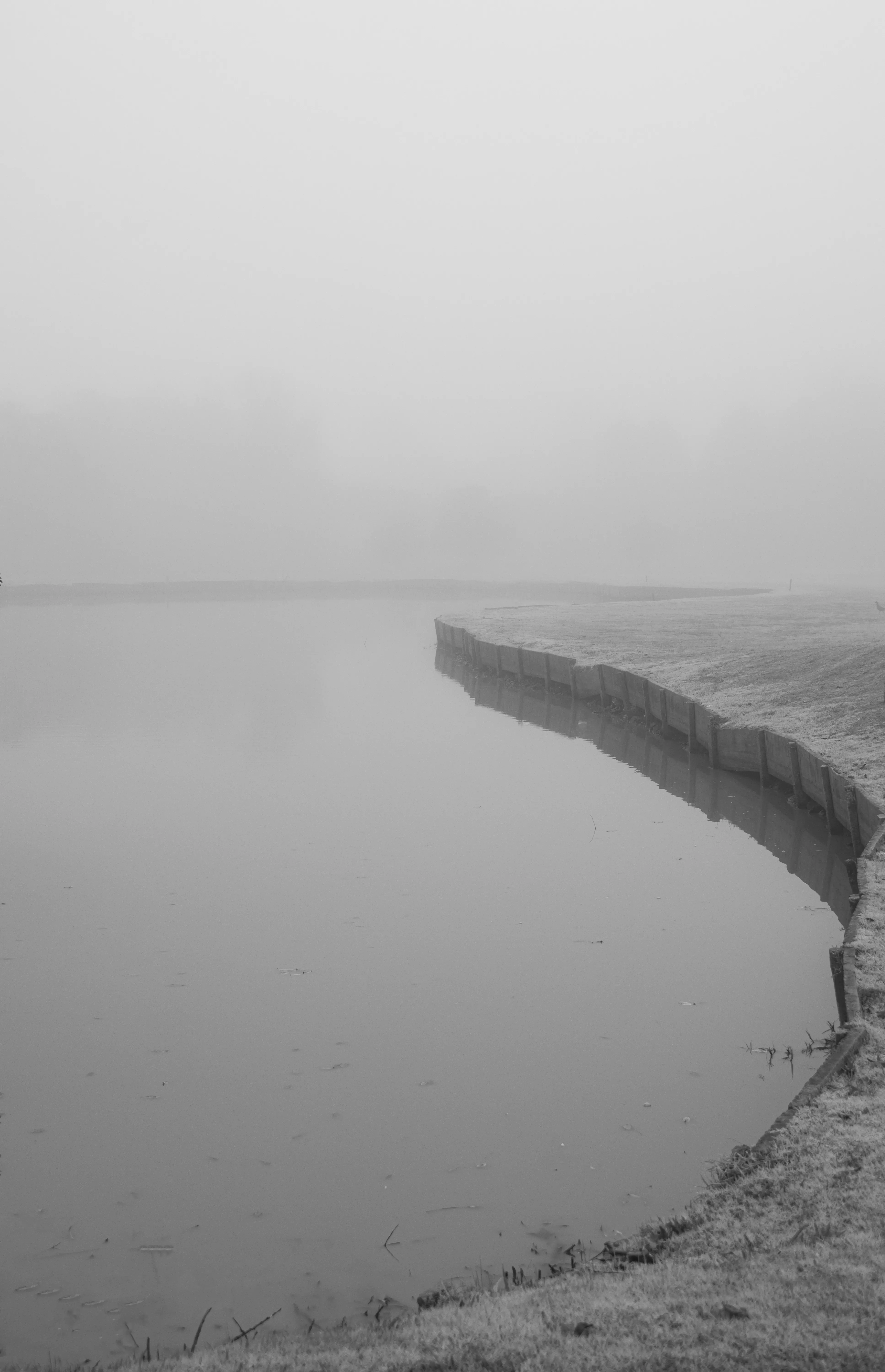 Niebla - Image 3